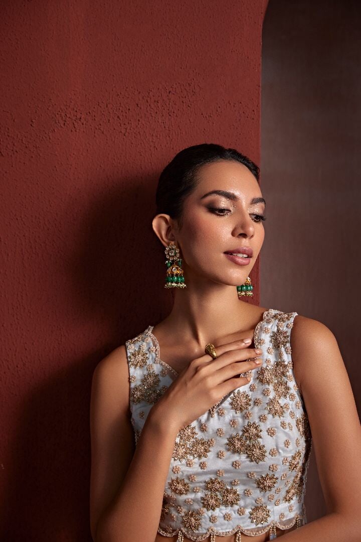 1 nazakat Saris & Lehengas TariniVij