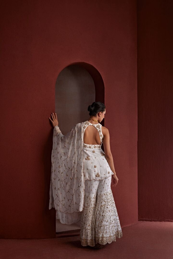 3 nazakat Saris & Lehengas TariniVij
