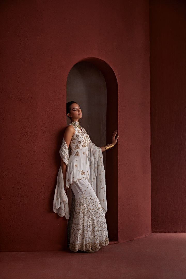 3 nazakat Saris & Lehengas TariniVij