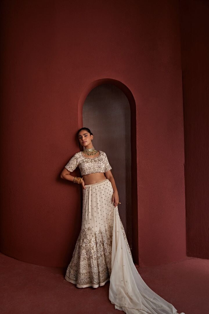 4 nazakat Saris & Lehengas TariniVij
