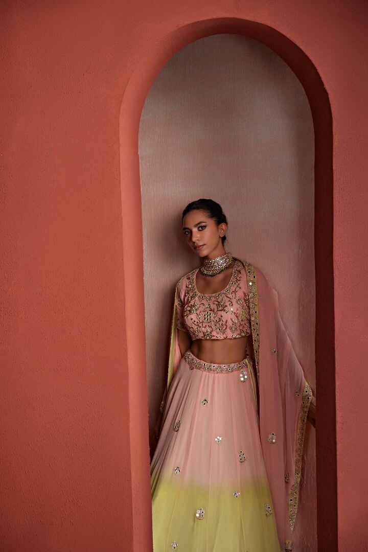 5 nazakat Saris & Lehengas TariniVij