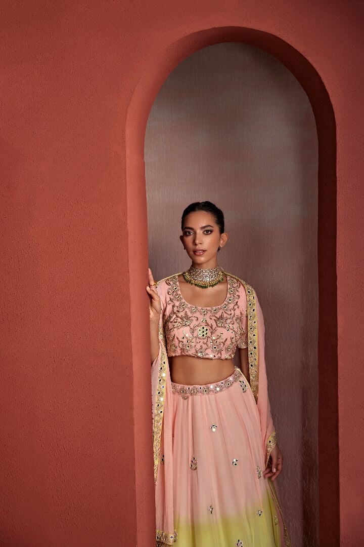 5 nazakat Saris & Lehengas TariniVij