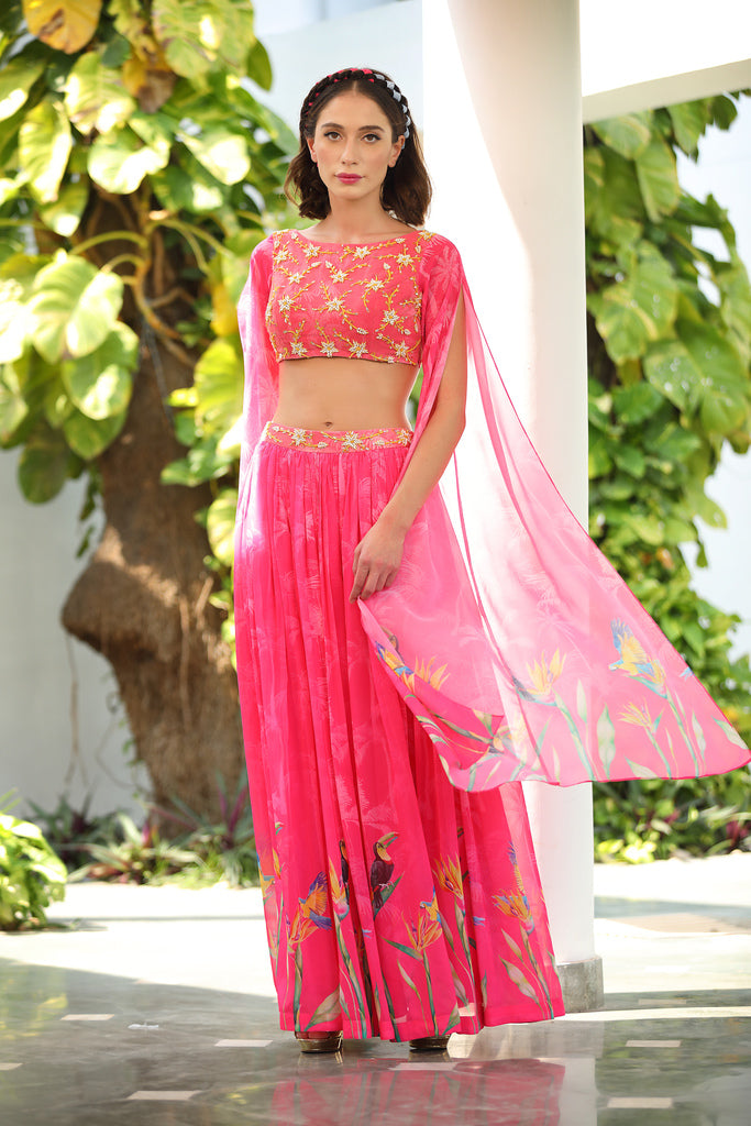 Rapunzel Saris & Lehengas TariniVij