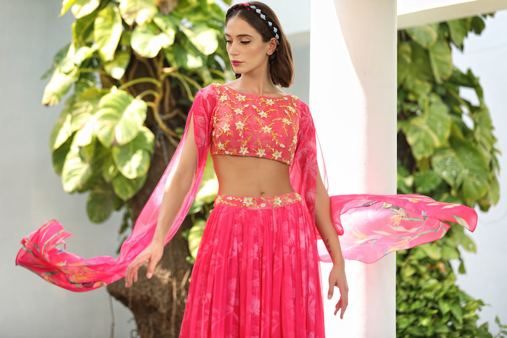 Rapunzel Saris & Lehengas TariniVij
