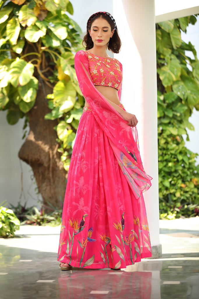 Rapunzel Saris & Lehengas TariniVij