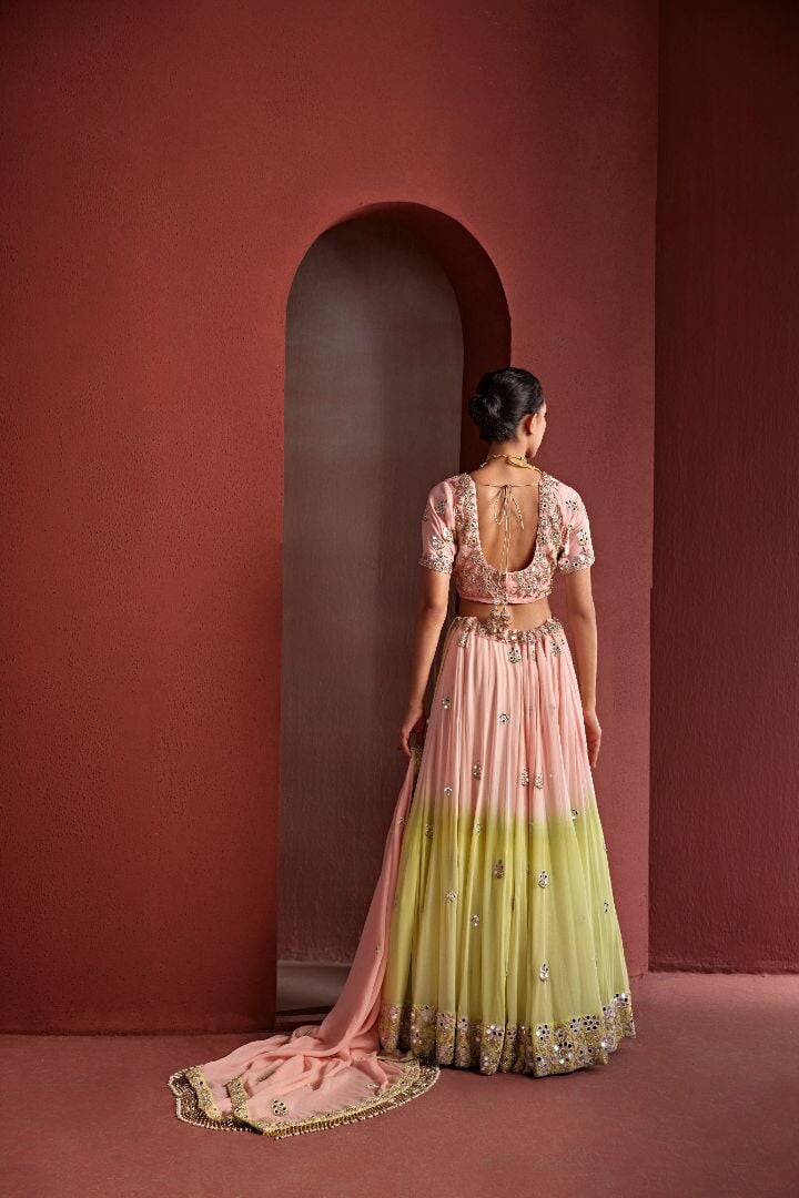 5 nazakat Saris & Lehengas TariniVij 