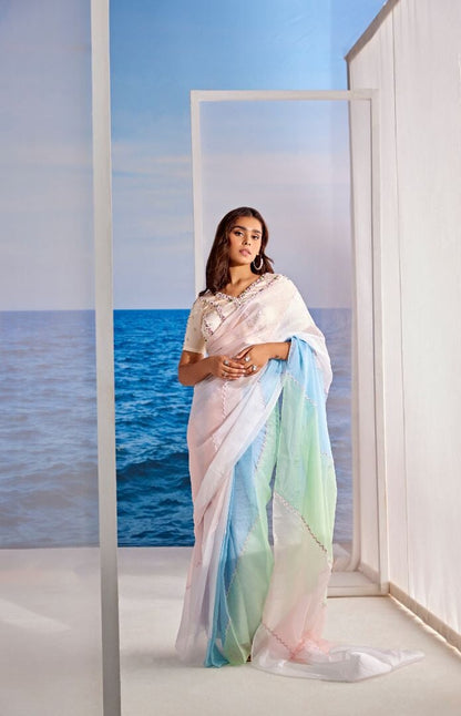 phlox 10 Saris & Lehengas TariniVij 