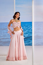 Load image into Gallery viewer, Rosita Saris &amp; Lehengas TariniVij 
