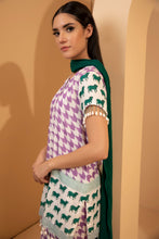Load image into Gallery viewer, Vahida Saris &amp; Lehengas TariniVij 

